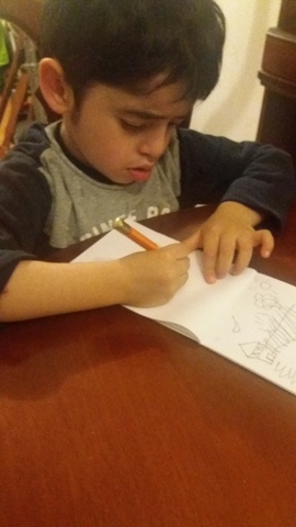 observación desempeño lingüístico del caso en contexto educativo y familiar