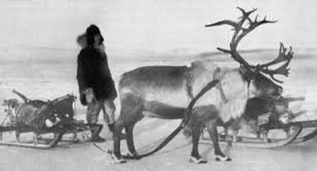 Reindeer first imported to Alaska