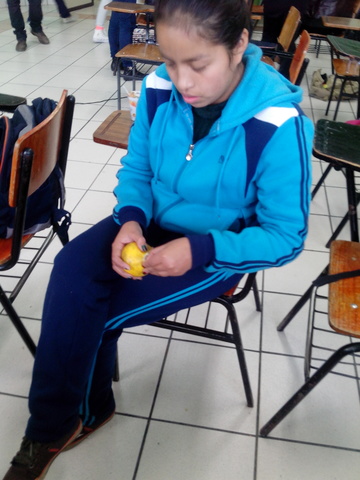 continuidad de mi cambio de paradigma