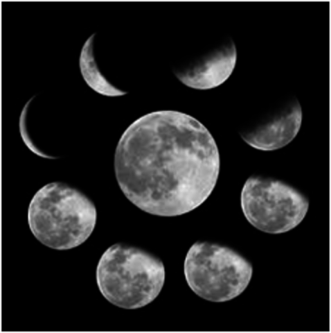 Nuestro Satélite Natural, Nuestra Guia