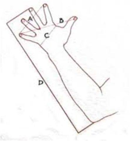 Los Griegos, Repiten con las Extremidades