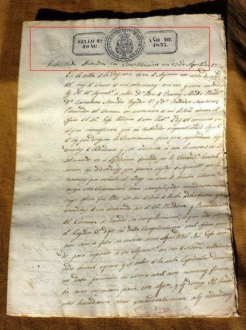 Nueva Constitución (progresista)