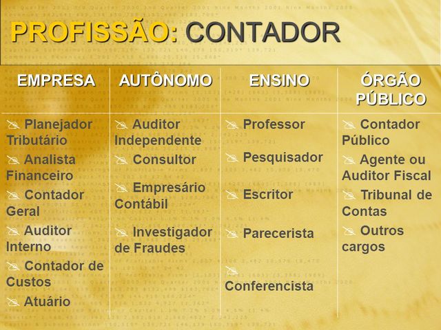 O CONTADOR  COMO PROFISSÃO