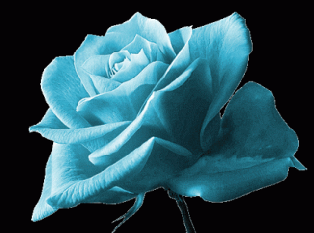 Red De Contrainformacion UE 2002