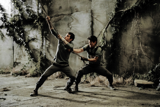 'Alby en Minho redden' (8)