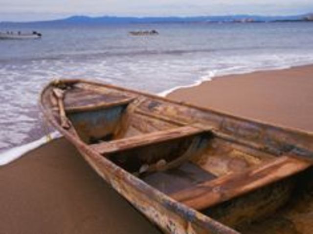 Story- Samuel and his friends traveled to the border of Mexico so that they could stop this once and for all