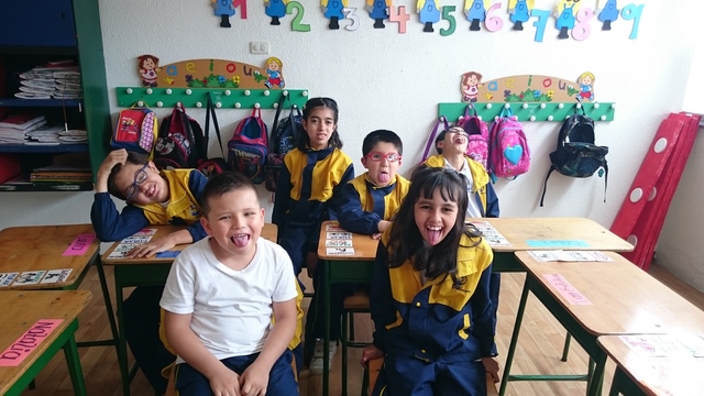 INTERVENCIÓN EN EL AULA