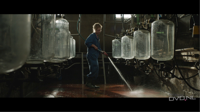 gebeurtenis 3: de koeien ontsnappen uit hun stal