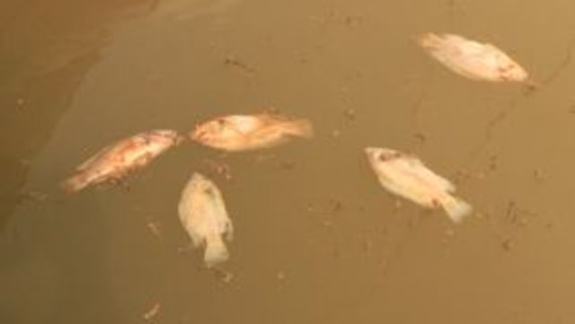 Gebeurtenis 2) Zwavel in het water.