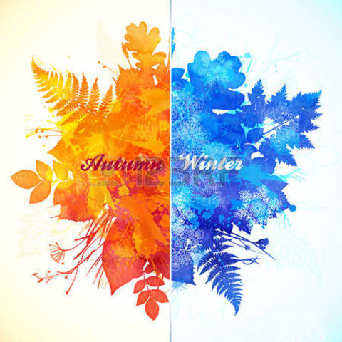 Lesson 1: Compare and Contrast Fall and Winter