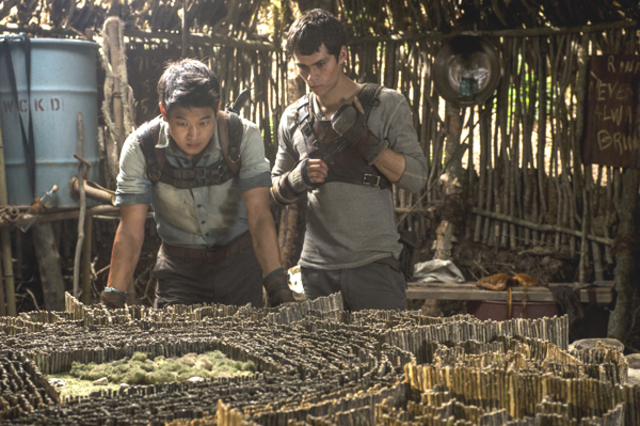 'Een echte renner' (9)