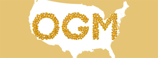 Les premières parcelles avec des OGM inondent les EU.