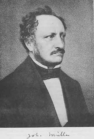 Johannes Müller (1801-1858)