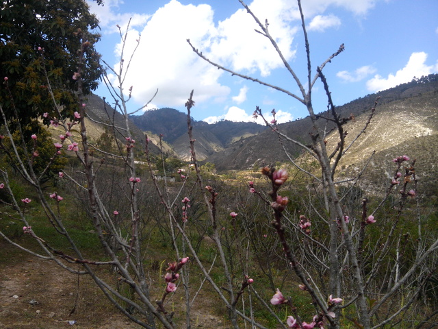 San Andres Yahuitlalpan