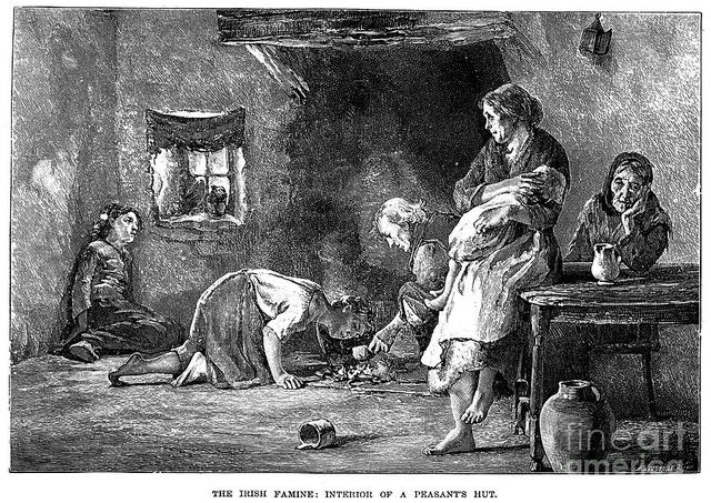 Irish Potato Famine