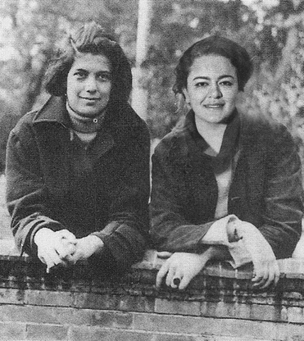 Contra la interpretación y otros ensayos.