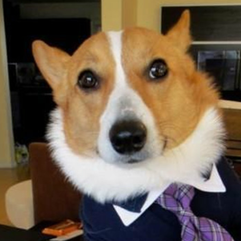 Salamano Testifies for Meursault