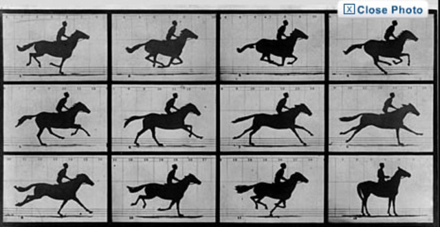 First Action Photographs