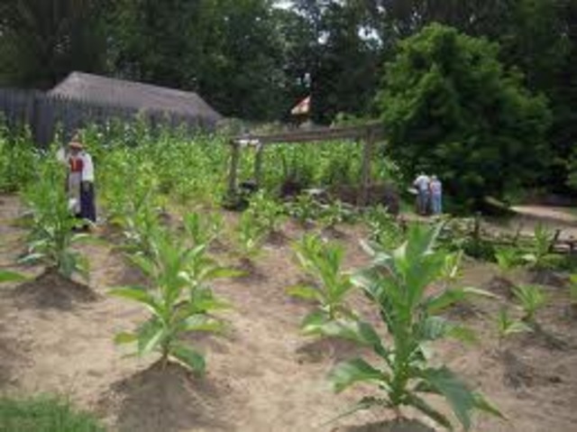 The English Settle in Jamestown, Virginia