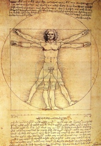 The Vitruvian Man; Leonardo Da Vinci