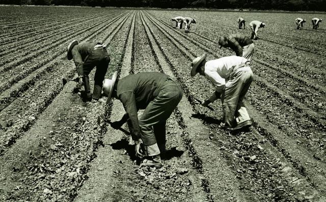 Bracero Program begins