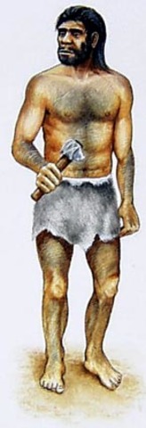 Homo Neanderthalensis
