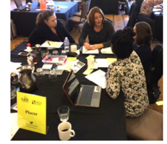 State-Wide Collaborative - Session #4 SACRAMENTO