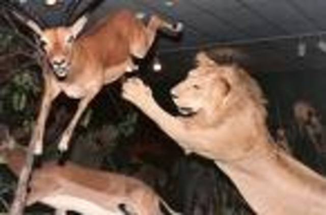 Nothing but Results Matter when you Go Out on Your Own!