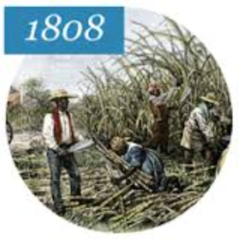 Congress Bans Slavery Importation