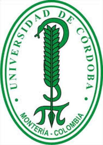 Actualidad (E-Learning y M-Learning)