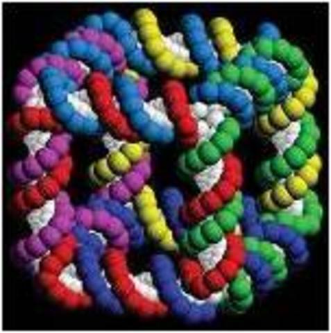 Самоорганизующиеся ДНК структуры