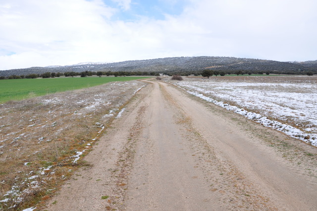 Creación del Honrado Concejo de la Mesta por Alfonso X