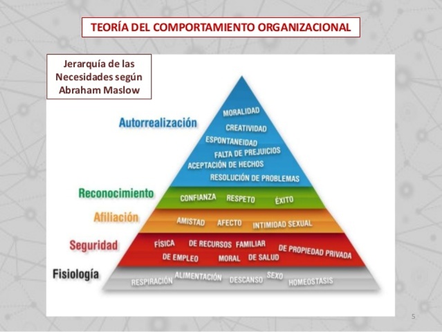 TEORÍA DEL COMPORTAMIENTO