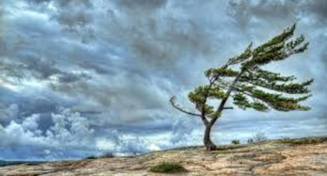 ¿Qué quiso ser en su  ...?