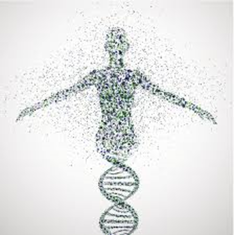Human Genome Is Fully Sequenced