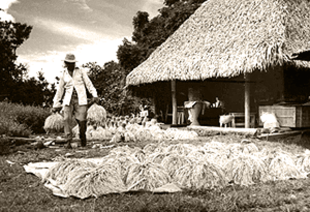 Banco de Crédito Agrícola.