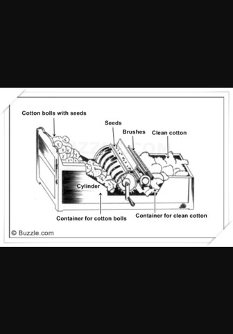 The Invention of the Cotton Gin