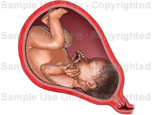 End of Third Trimester