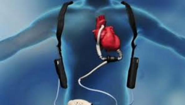 Se crearan organos artificiales