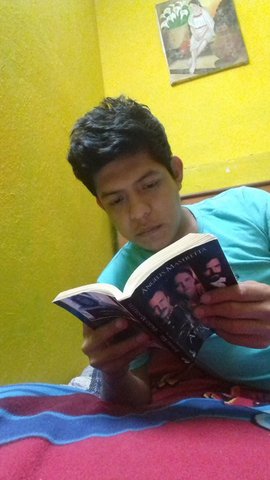 capitulo VII  y VIII