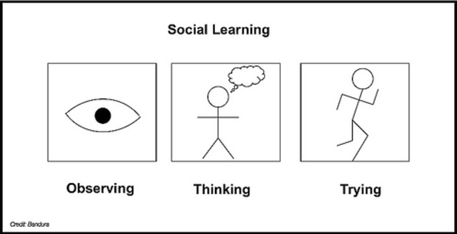 1954 (Social-Learning)