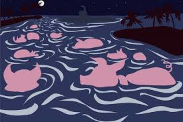 Our fight in the Bay of Pigs