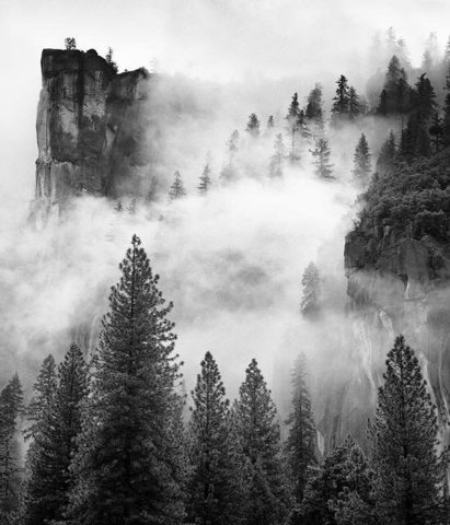 Yosemite and Sequoia National Park Founded