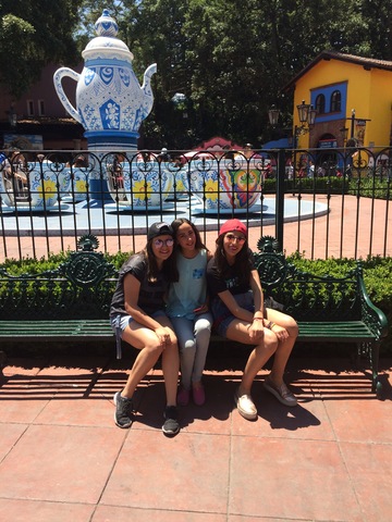 Six Flags and flying phones!