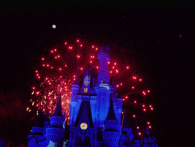 i went to disney world