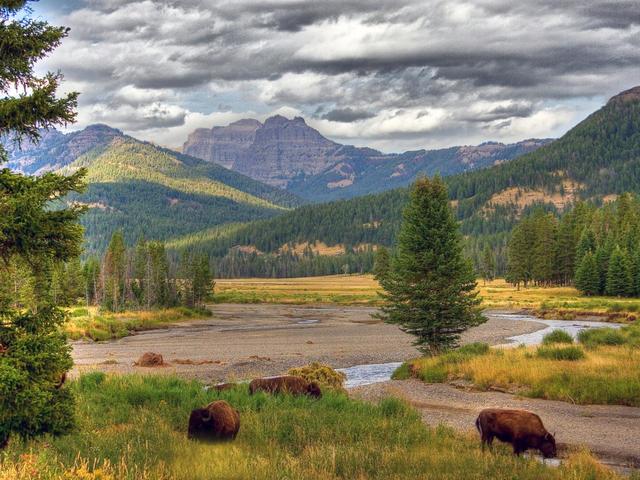 Yellowstone National Park founded