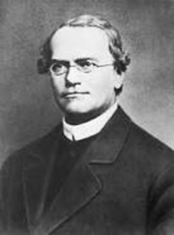 gregor mendel