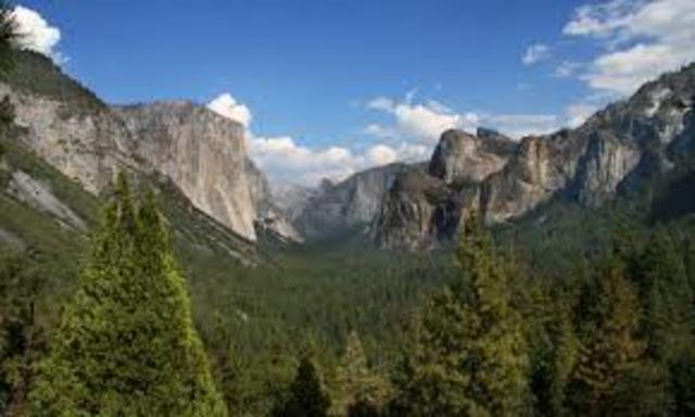 Yosemite Plus Sequoia National Park Founded