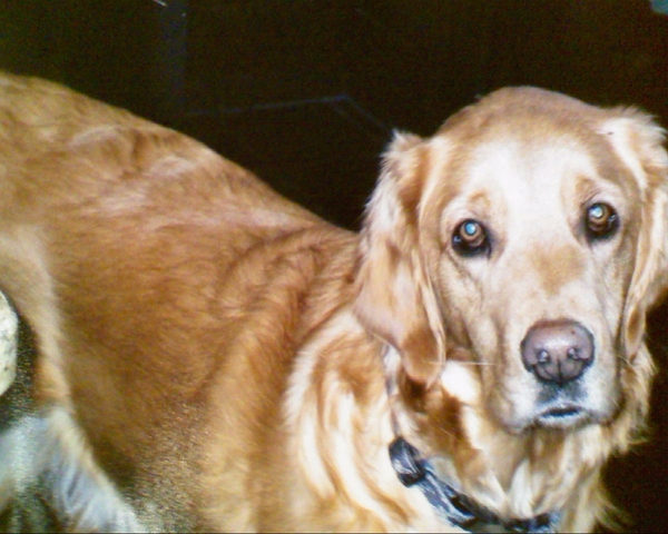 Me and my sister was surprise