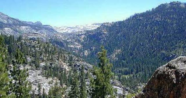 General Revision Act